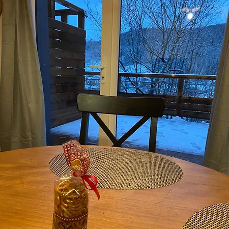 Duplex L'epicea Breitenbach-Haut-Rhin