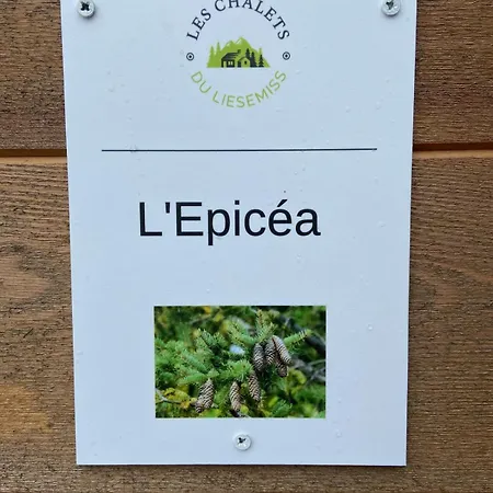 Duplex L'epicea Breitenbach-Haut-Rhin