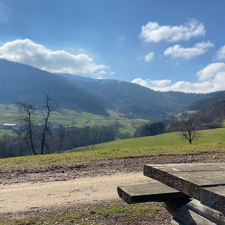 Apartman Duplex L'epicea Avec Vue Panoramique Breitenbach-Haut-Rhin