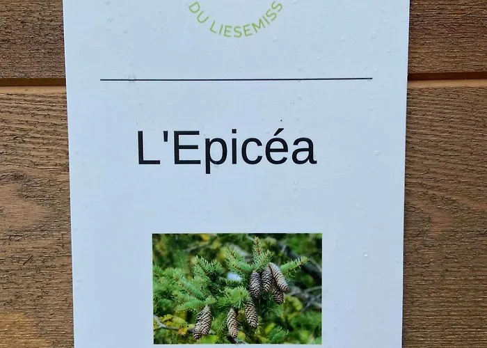 Duplex L'epicea Avec Vue Panoramique Breitenbach-Haut-Rhin