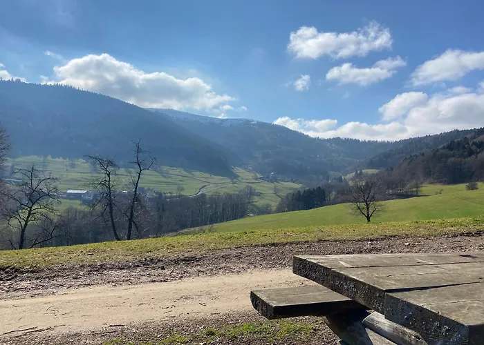Apartman Duplex L'epicea Avec Vue Panoramique Breitenbach-Haut-Rhin