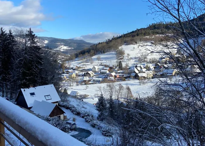Duplex L'epicea Avec Vue Panoramique Apartman *